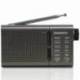 RADIO PORTÁTIL DAEWOO DW1035/ A PILAS/ GRIS OSCURO